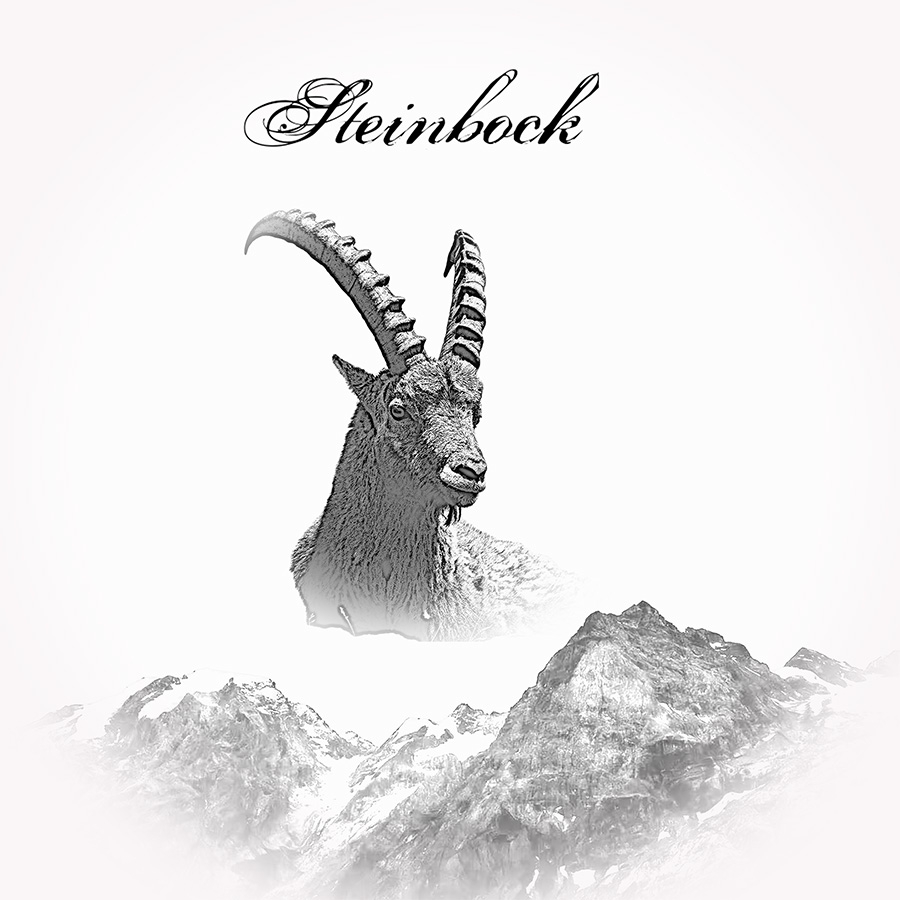 Sternzeichen Steinbock